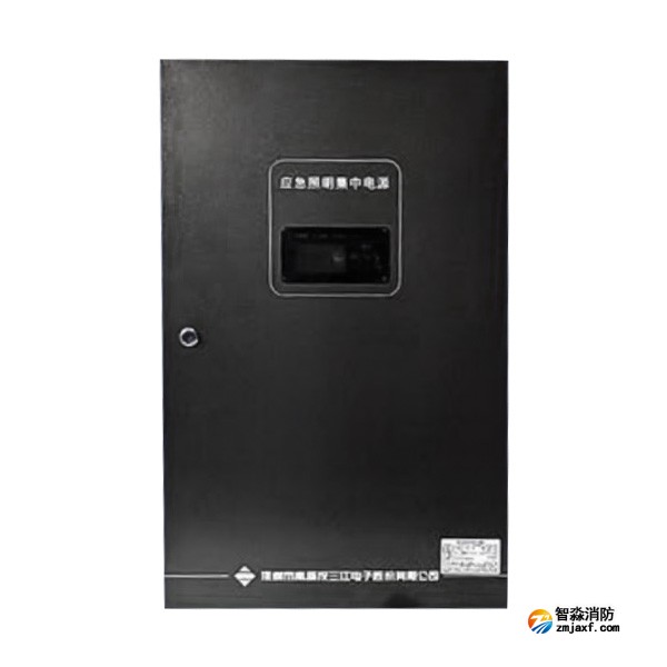 宁夏海湾SJ-D-0.6KVA/P601AC应急照明集中电源 4回路 壁挂式