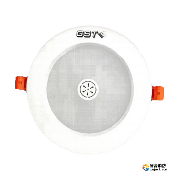 宁夏海湾HW-ZFJC-E9W-N652SG集中电源集中控制型消防应急照明灯具