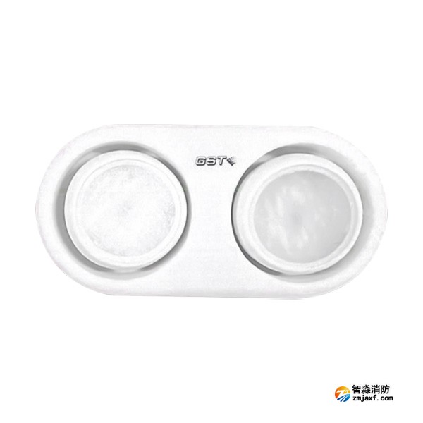 宁夏海湾HW-ZFJC-E3W-YN663集中电源集中控制型消防应急照明灯具（3W双头灯）